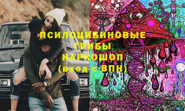 PSILOCYBIN Бородино